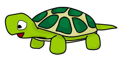 tortue.jpg